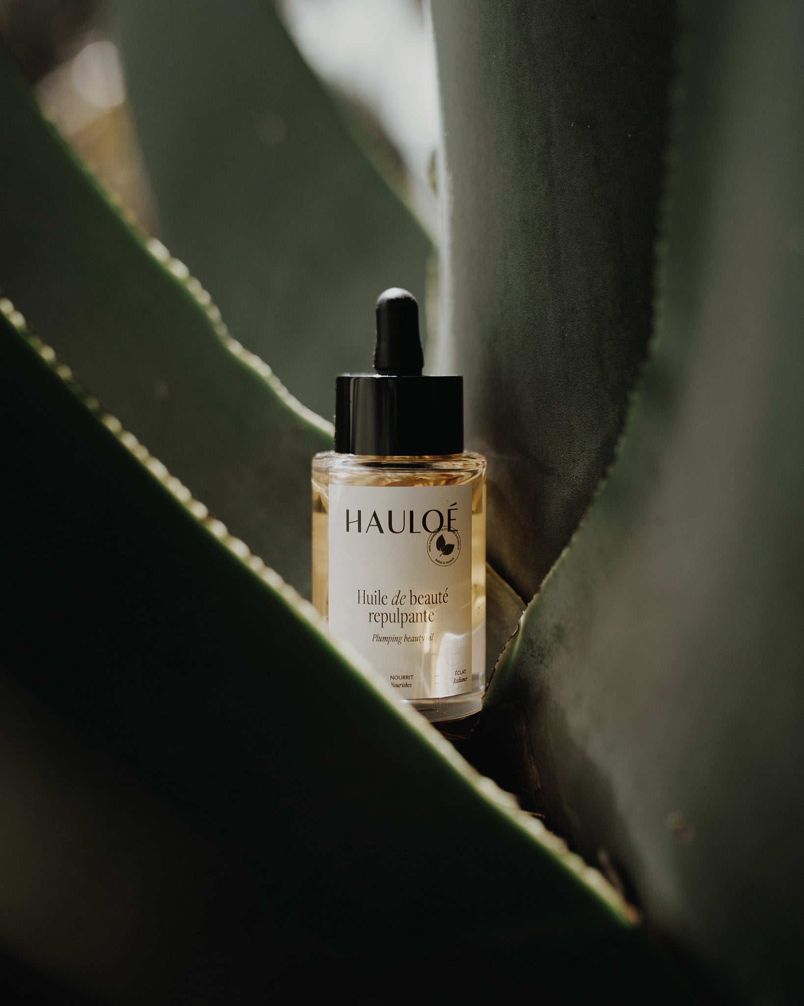 Huile de beauté repulpante